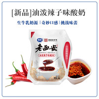 银桥 油泼辣子酸奶新品上市西安口味生牛乳风味酸牛奶陕西 油泼辣子味180g*8袋