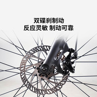 HIMO 镁合金9速平把公路车 700C碟刹自行车 R30