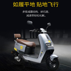 金箭 电动摩托车新款大功率石墨烯金箭凯旋350电摩外卖电动车成人通勤两轮