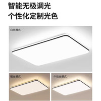 NVC/雷士 语音智控 吸顶灯 10个及以上 哑白+黑色 10W-10W以上 30m²以上
