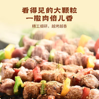 草原红太阳烧烤调料 家用烧烤料户外烤肉料烧烤撒料酱料火锅蘸料辣椒孜然35g 香辣烧烤料*6袋