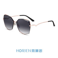 海俪恩墨镜女 几何多边形太阳镜男款时尚大框眼镜圆脸街拍眼镜 N6708 N02（镜片内部刻有签名）