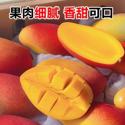 鲜宝道 海南贵妃芒果5斤中果