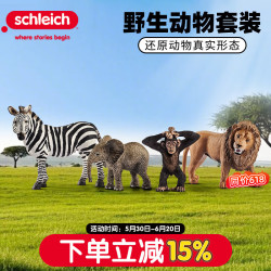 思乐 Wild Life系列 42387 野生动物入门套装