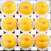 初石 顺丰 特大果 山东蒙阴 黄油桃 黄桃 2.5斤装（7-9 个）