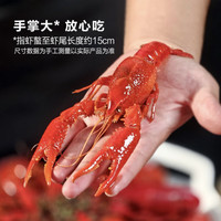 会员制仓储店Member's Mark山姆会员商店MM麻辣小龙虾1.2kg 蒜蓉/紫苏/三种口味 配送 麻辣小龙虾(配附加冰)(1.2kg