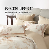 百丽丝水星家纺出品四件套新款纯棉四件套家用床品套件床上四件套 纯棉四件套 () 床单款 ()