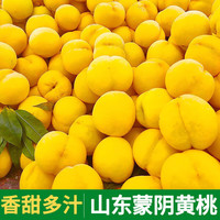 朵界山东蒙阴黄桃黄金蜜桃新鲜黄毛桃当季时令优选黄桃拍2件合发一箱 甄选黄毛黄桃 净重2.25斤(6-8个 装) 甄选黄油桃