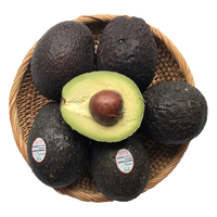橙小士牛油果水果墨西哥秘鲁巨无霸鳄梨应当季宝宝水果辅食 4枚巨无霸装 单个170-210【g】