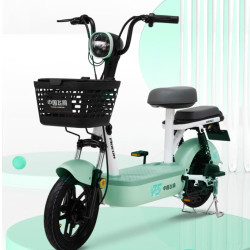 飞鸽 电动自行车 48V12Ah