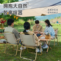探露(TANLU) 便携椅子户外折叠椅克米特椅超轻沙滩椅摆摊露营折叠凳钓鱼椅子 【圆管椅架】卡其