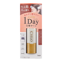  Bigen/美源 30秒速干 染发笔