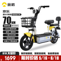 金箭 新国标电动车京乐48V20Ah续航70公里铅酸电池电瓶车代步助力长续航彩雅灰 彩雅灰-续航60~70公里