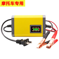 安力巨 汽车电瓶充电器 12V