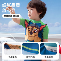 汪汪队男童泳衣夏季男孩2025海边儿童游泳衣A类抗菌分体泳衣