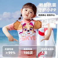 汪汪队男童泳衣夏季男孩2025海边儿童游泳衣A类抗菌分体泳衣