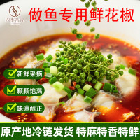 小卓 新鲜青花椒水煮鱼专用重庆江津花椒粒商用现摘保鲜青花椒四川特产
