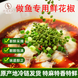 小卓 新鲜青花椒水煮鱼专用重庆江津花椒粒商用现摘保鲜青花椒四川特产