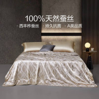 LOVO 乐蜗家纺 天然蚕丝被被子被芯夏凉被 200*230cm