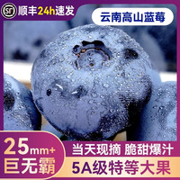 菲农 云南蓝莓鲜果特大果现摘现发自带花香蓝梅一整箱包邮