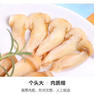 京鲜生&云芳斋 云南香格里拉冻松茸 2斤新鲜速冻 源头直发