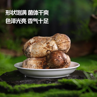 京鲜生&云芳斋 云南香格里拉冻松茸 2斤新鲜速冻 源头直发