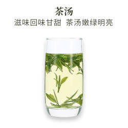 徽六 2025新茶徽六特级绿茶岳西翠兰安徽茶叶50g