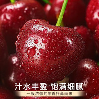迎畔山东大樱桃车厘子【JD//ems多地次日达】新鲜水果父亲节 2斤(净重) 品质装 品质果 22-26mm