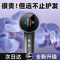 beurer 宝雅乐 吹风机高速大功率速干护发不伤发家用宿舍大风力负离子风筒