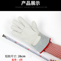 佳护 JH-yd01 防冻手套 耐低温防液氮冰箱干冰冷库 牛皮加厚 26cm单只右手