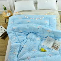 盛宇 家纺床上用品冬季全棉儿童卡通冬被芯加厚保暖小被子纯棉云朵