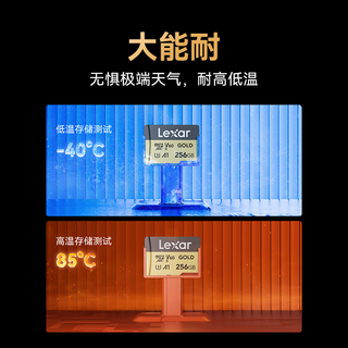  Lexar/雷克沙 高速读写 内存卡  256GB