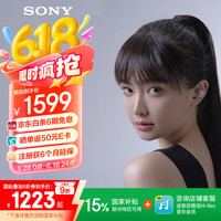 索尼 SONY WF-1000XM5 入耳式真无线主动降噪蓝牙耳机