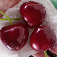京觅天水俄罗斯8号大樱桃 3J车厘子4斤装 航空 源头直发 4斤(净重) 巨无霸3J单果30mm+