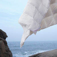夏被90白鸭绒夏凉被羽绒被空调被夏季凉爽透气被子被芯 220x240cm