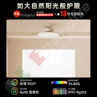 eternalfire 护眼 吊扇灯 白色