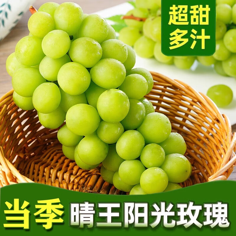 元珍鲜诚 正宗阳光玫瑰葡萄新鲜孕妇水果生鲜 茉莉花香葡提 当季现摘 送礼 整串大果 顺丰/JD送货上门丨整串大果