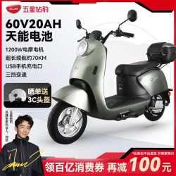 五星钻豹 电动摩托车60V成人外卖电动车代步电瓶车