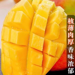 鲜宝道海南贵妃芒果新鲜热带应季水果 当季甜心 9斤中果单果90-150克净重8.5斤
