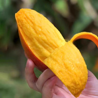 鲜宝道海南贵妃芒果新鲜热带应季水果 当季甜心 5斤中果单果90-150克净重4.5斤