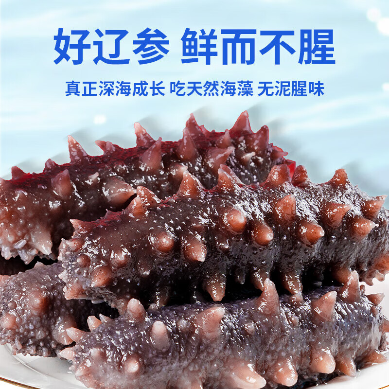 灯火岛大连即食海参  冷冻辽刺参海鲜水产礼盒节日礼物 7A即食（16-20只）普通款