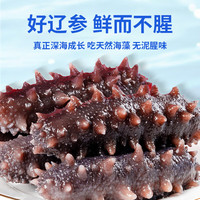 灯火岛大连即食海参  冷冻辽刺参海鲜水产礼盒节日礼物 7A即食（16-20只）普通款
