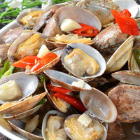 京乐狳鲜活花甲 鲜活新鲜海鲜花甲无沙花蛤花蛤文蛤新鲜贝类蚬子 花 1500g