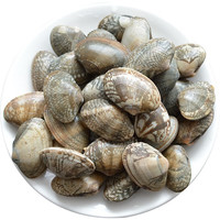 京乐狳鲜活花甲 鲜活发货新鲜海鲜花甲无沙花蛤花蛤文蛤新鲜贝类蚬子 花 5斤 精选装