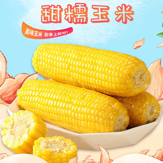 莲山九鲜东北甜糯玉米新鲜香糯苞米棒真空包装鲜食粘糯早餐非即食 黄糯玉米（250g*8）2000g