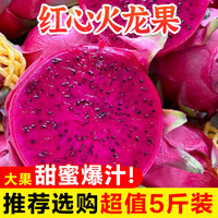 果燃彬彬 海南金都一号红心火龙果 3-4两/个 净果5斤