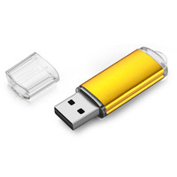 DaFonQi 投标用U盘 招标U盘电脑办公优盘 金属防水 小容量投标中国风logo展会优盘 【T3 金色】免费刻字 4GB