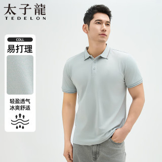 太子龍 夏季薄款男士polo衫休闲百搭T恤  银灰色 2XL 建议160-180斤