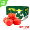 绿行者 GREER 玛瑙番茄3斤