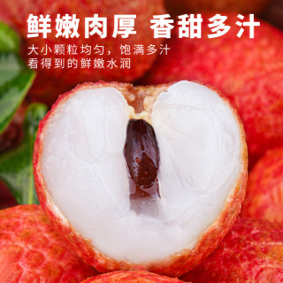 喵满分 广东茂名桂味荔枝4.5斤单果14g+顺丰包邮